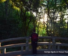 Rodrigo Aguila en Parque Yoyogi, Tokyo - Japón